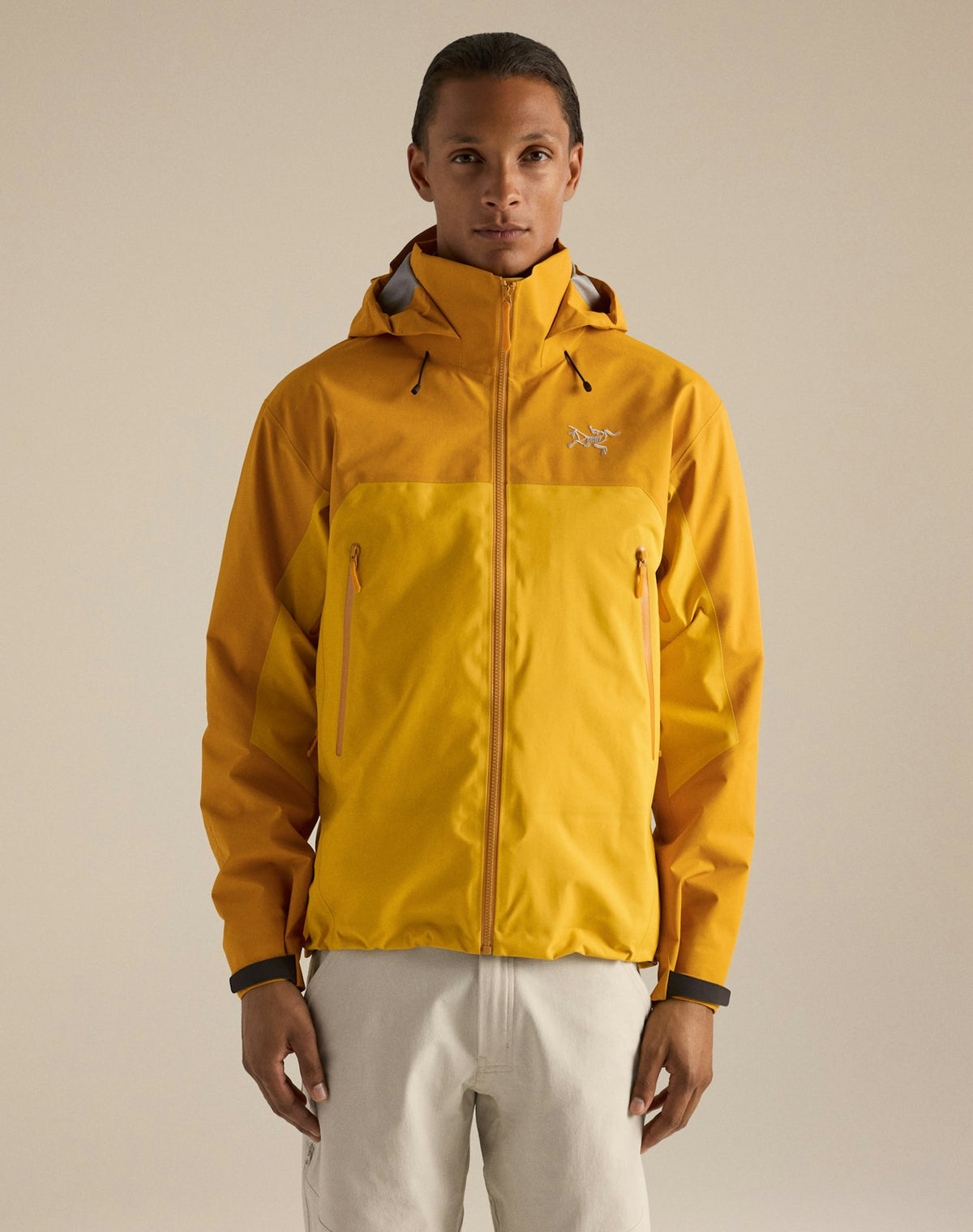 Arc'teryx Beta AR Men's Hardshell Jacket - Nucleus / Larch
