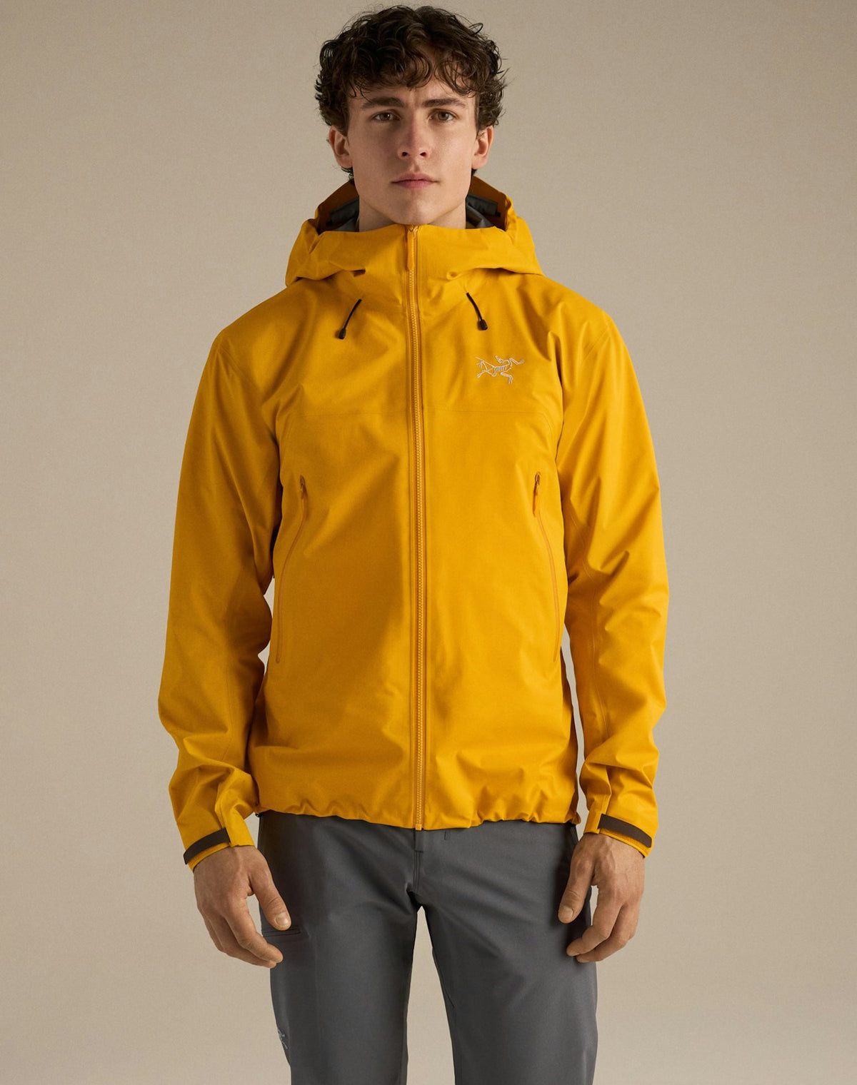 Arc'teryx Beta Men's GORE-TEX Waterproof Hiking Jacket - Solaris
