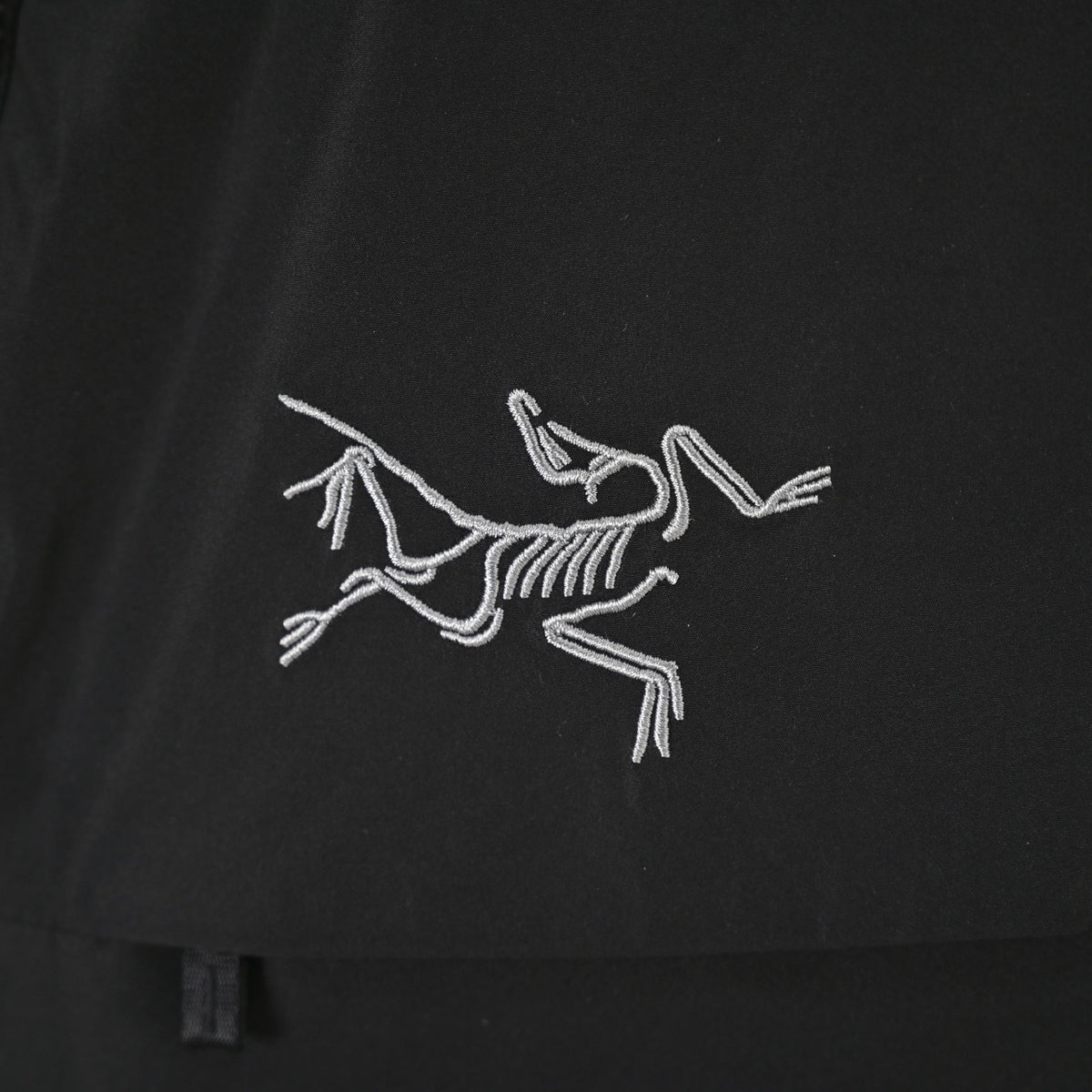 Arc'teryx Beta Series Men's GORE-TEX Hooded Ski Jacket "Black"